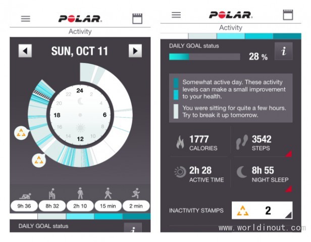 polar loop 2