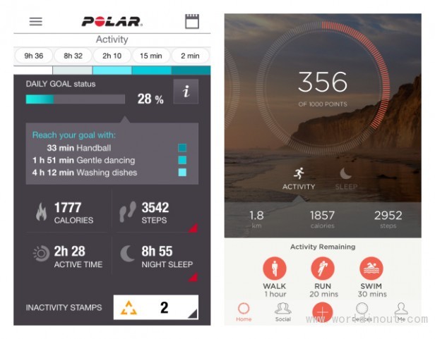 Polar Loop 2 7