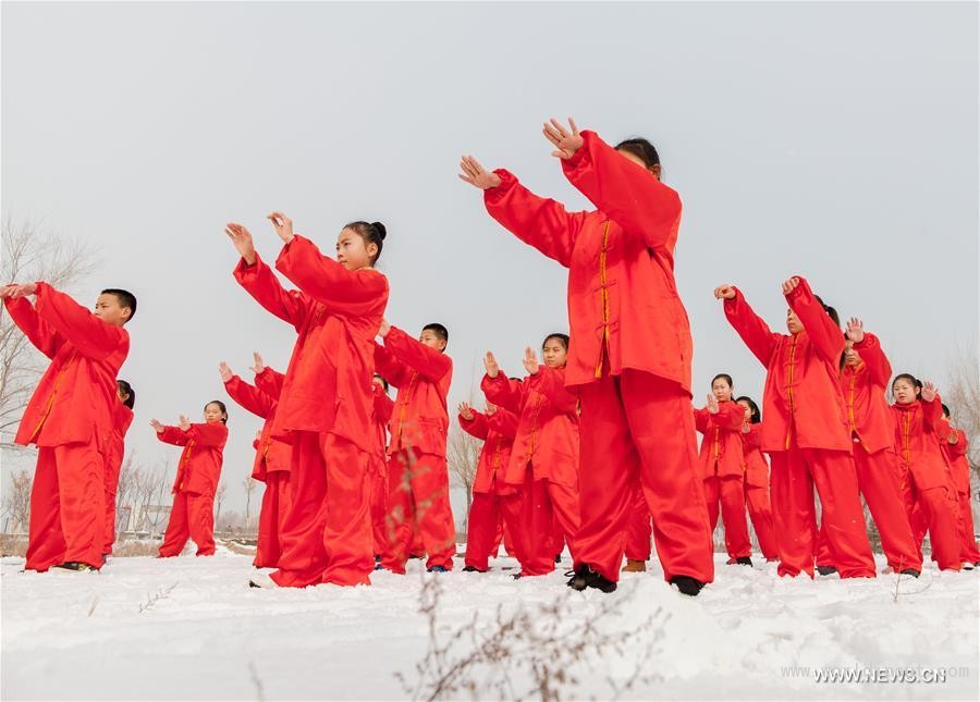 People practice tai chi in N China's Inner Mongolia