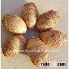 CHINESE TARO