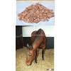 CHINA HORSE BEDDING - Coconut Husk chips