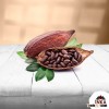 Cocoa Beans Organic
