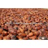 Indonesian Origin Sun Dried Cocoa / Cacao Bean