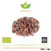 Cocoa Beans - Bulk, RAW & Criollo