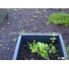 High Quality Widely Use Planters Raised Plastic Garden Bed