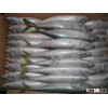 frozen mackerel in good quality for wholesale