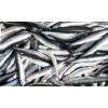 Seafood Frozen Fresh Anchovy Fish, Dried Anchovy Fish