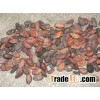 Fermented Cocoa Bean Seed