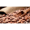 Organic Cacao Beans (Grade A)