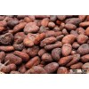 large quantity of cocoa beans