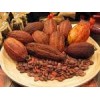 CACAO BEANS FROM THE BEST PRODUCER IN THE WORLD, ECUADOR