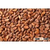 High Grade Dried Cameroon Raw Cocoa Beans for Sale