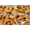 Fresh Cashew nuts