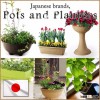 Simple and Stylish planter pot for gardening , planter plate or pot plate also available