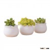Modern indoor decor small white ceramic flower pot
