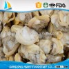 fresh frozen pickling short neck clam meat