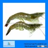 Frozen wholesale shrimp