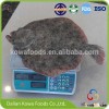 Turbot Suppliers and Packer from China Mainland Kowa Live Turbot