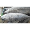 IQF Frozen Skipjack Tuna