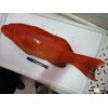 Fresh/chilled Andaman Coral Trout Fish