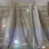 whole round pacific mackerel on sale
