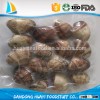 Frozen high quality frozen clam in shell