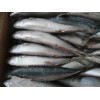 Fresh and Frozen Horse Mackerel Fish. Herring Fish. Dry Stockfish for sale