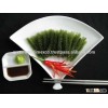FRESH SEA GRAPE -SEAWEED_HIGH QUALITY - SPECIAL PRICE
