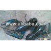 crayfish lobster
