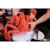 Hotsale chilien king crabs