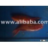 Red Lapu Fish