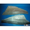 Fresh Seabass Fillet Boneless (V Cut)