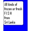 ALL KINDS OF SRI LANKAN FISH