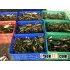 Live Mud Crab from Sabah