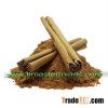 Asia Cinnamon