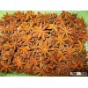 STAR ANISEEDS AUTUMN CROP