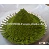 high quality Moringa powder for sale