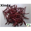 2015 1 st export dried Yunnan chili without stem