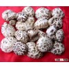2015 1st new dried flower mushroom