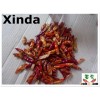 2015 3rd Sanying dried red chili without stem