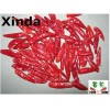 2015 1st New generation dried chili