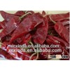 2015 new Jinta dried red chili