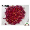 2015 2nd Sanying dried red chili without stem