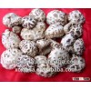 2015 new dried flower mushroom for export