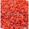 Goji Berry