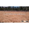 Best Quality of Coconuts Fiber in bales from VIETNAM