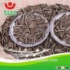 24/68 Sunflower seeds FROM INNER MONGOLIA