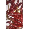 Teja S-17 red chilli with stem