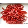 dried red hot chilli