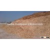 WOOD CHIP VIET NAM - PAPER GRADE